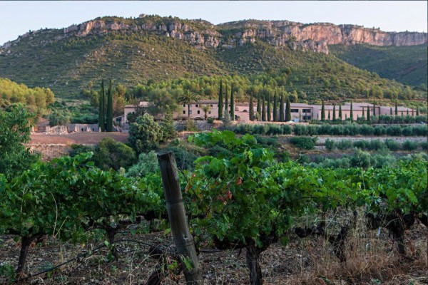 incoming spain agency